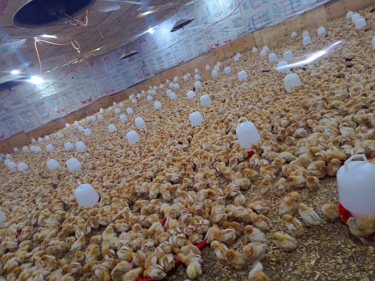 Farm operations