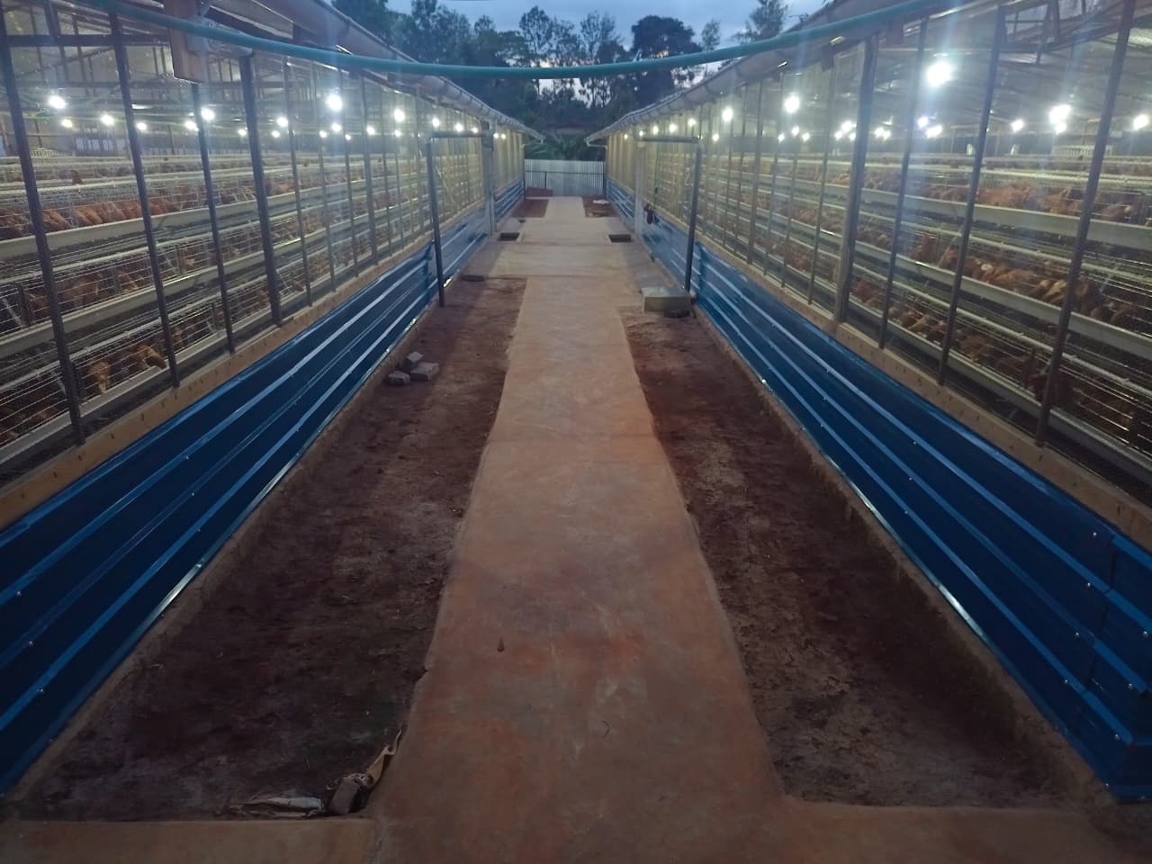 Farm B