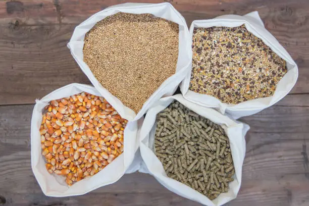 Poultry Feeds